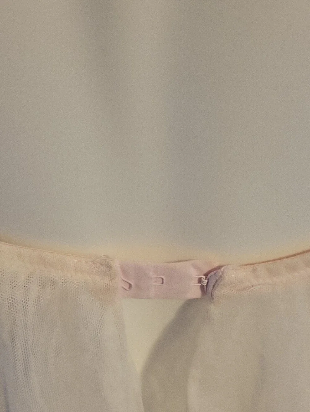 In Bloom Sheer Embroidered Babydoll Chemise in Pale Pink